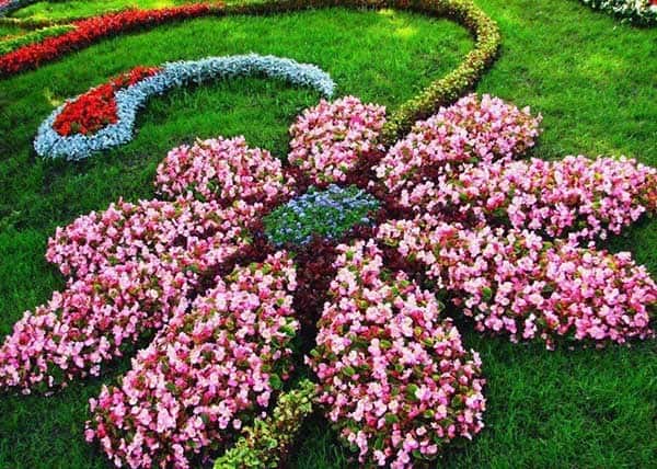 A Flower Shaped Flower Bed Idea