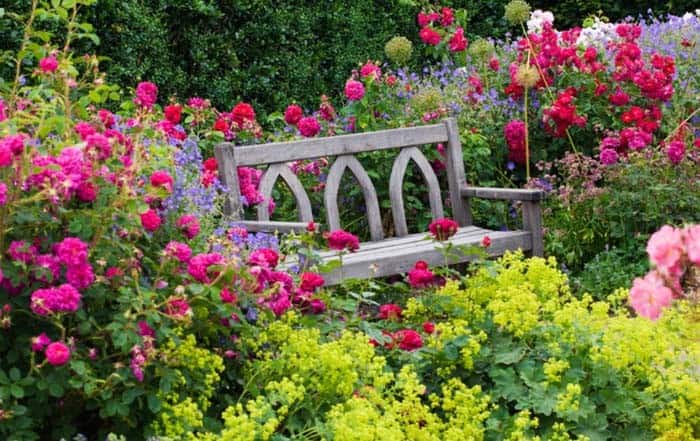 Flowering Rose Retreat