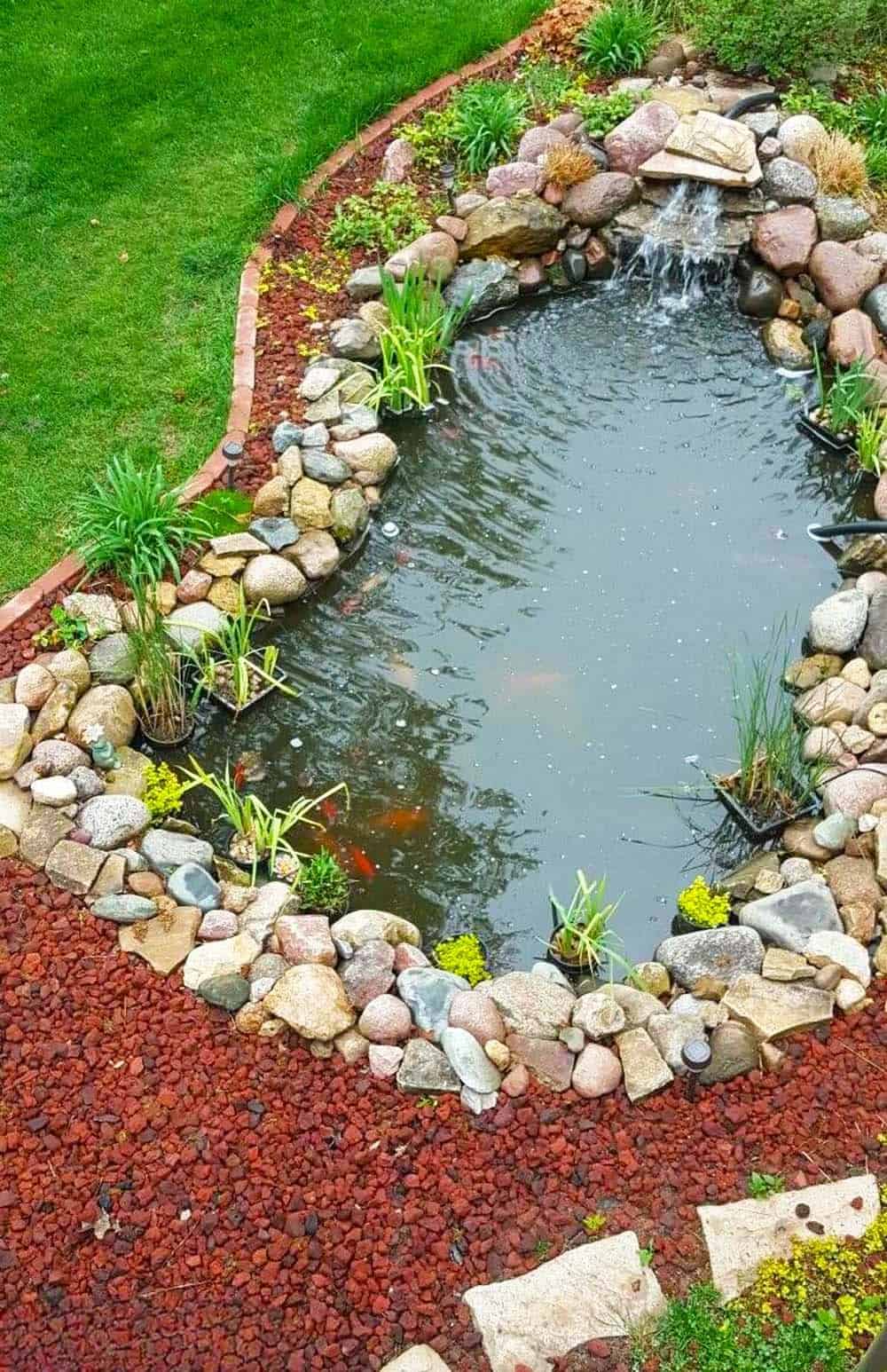 Garden Pond Paradise