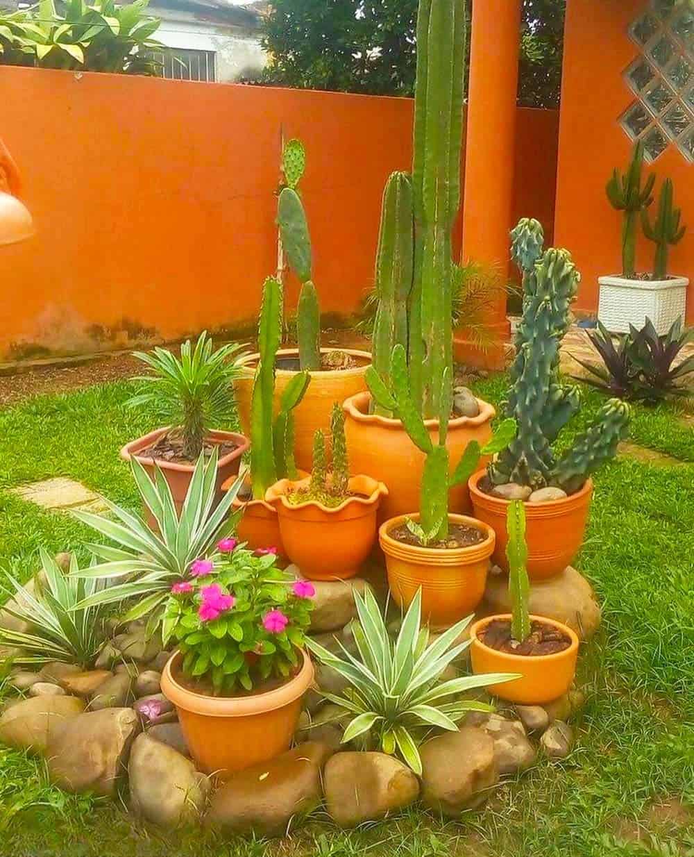 Cacti Corner Ensemble