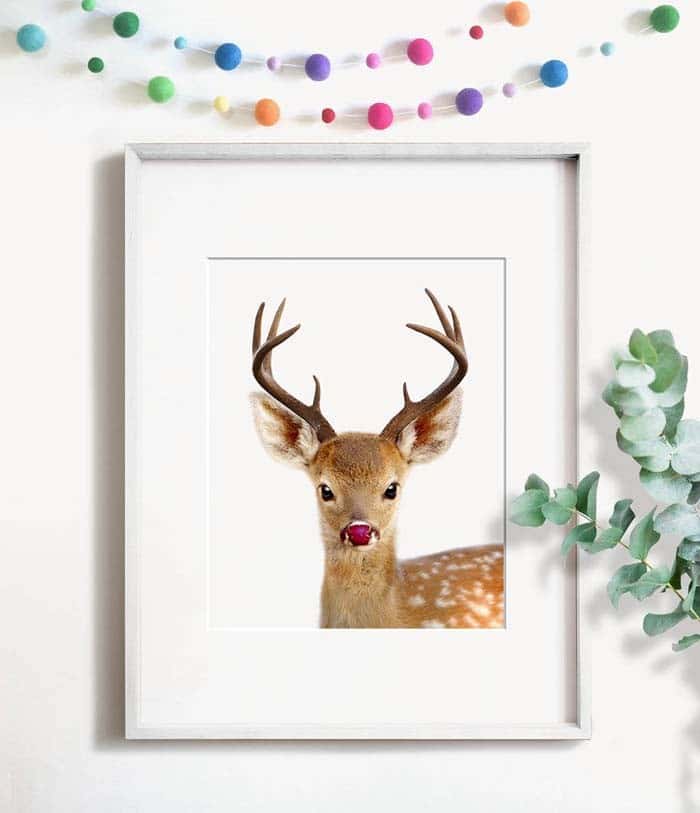 Adorable Baby Red Nosed Reindeer Art Print