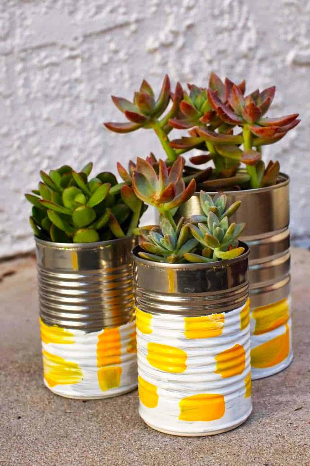 Upcycled Succulent Trio