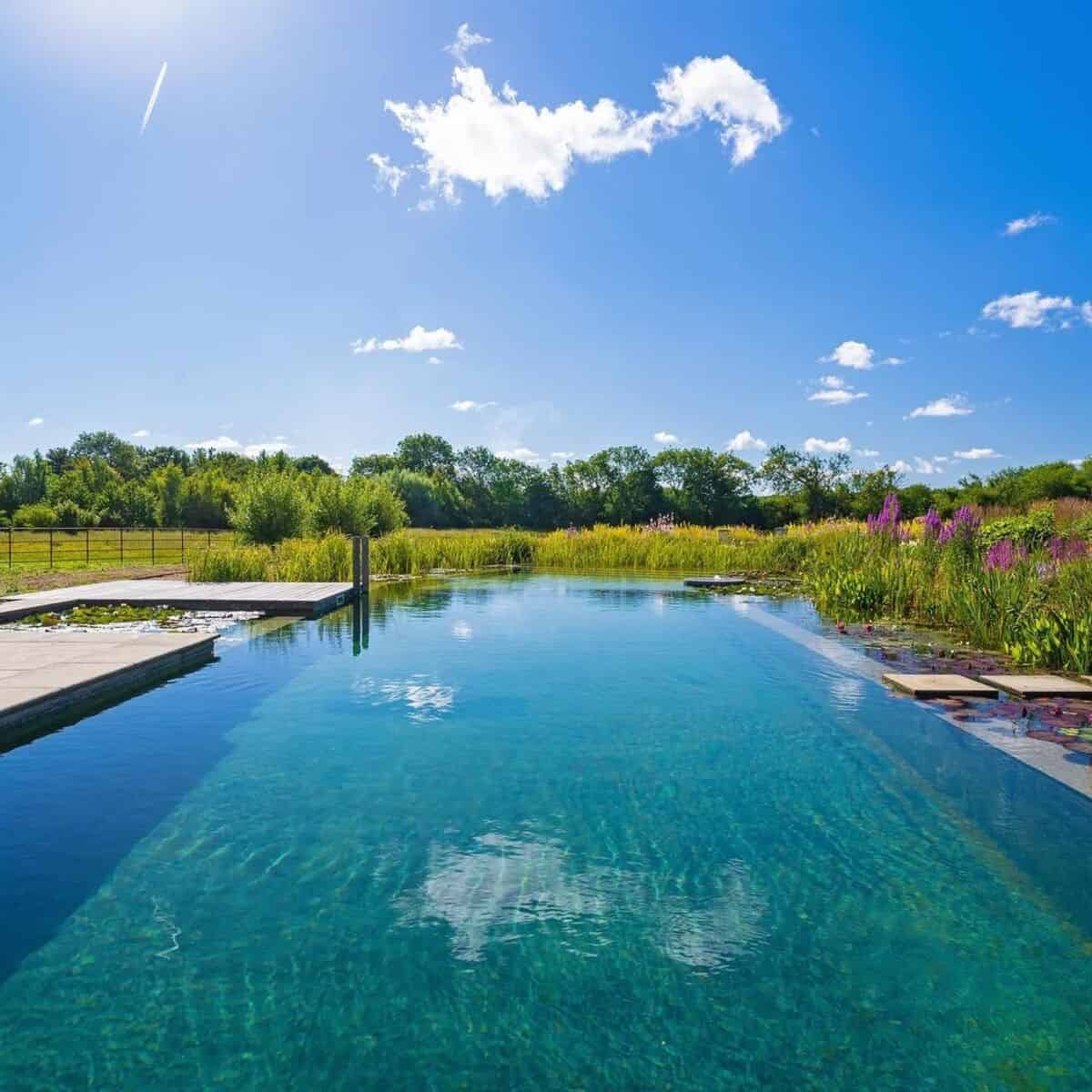 Swimming Pool With Natural Surroundings