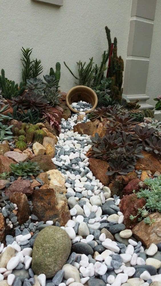 Native Plants on a Rocky Slope