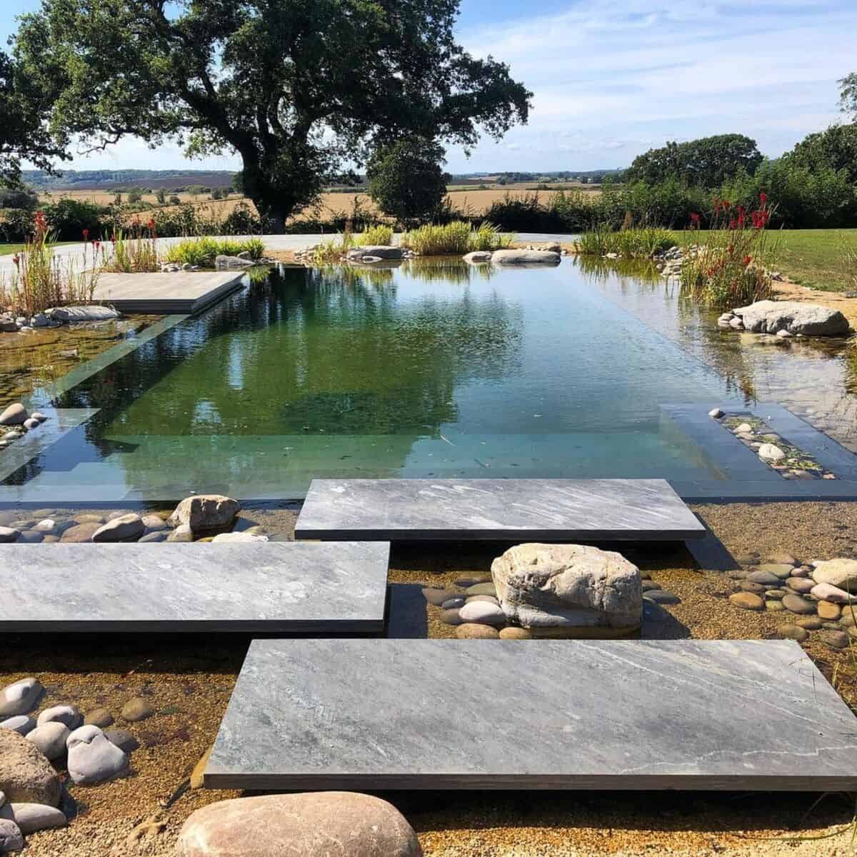 Contemporary Natural Pool