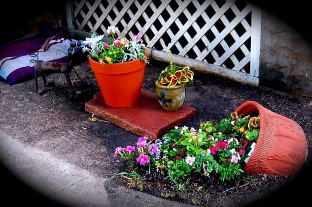 Achieve Simplicity with Small Flower Pots