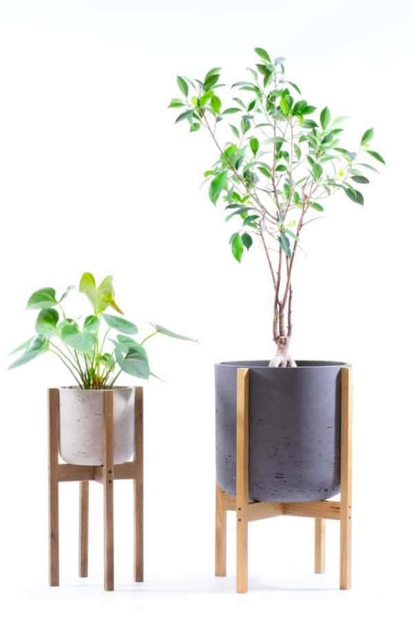 Contemporary Concrete Plant Stand