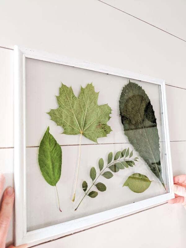 Elevate Your Wall Decor with Evergreen Ikebana Collage