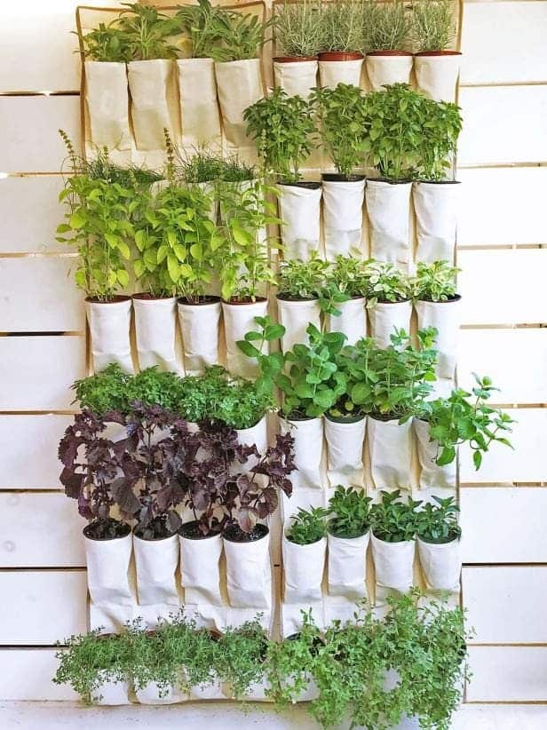 Shoe Organizer As A Herb Garden