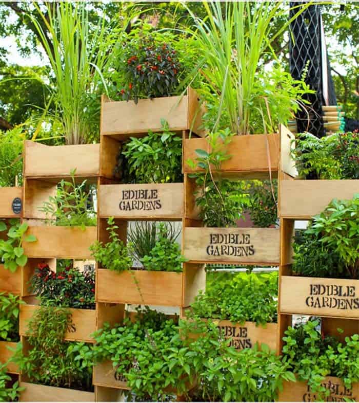 Stack Edible Plants In Simple Crates