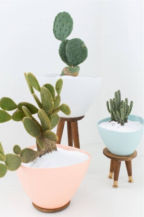 Elevate Your Plants With Stylish Stools