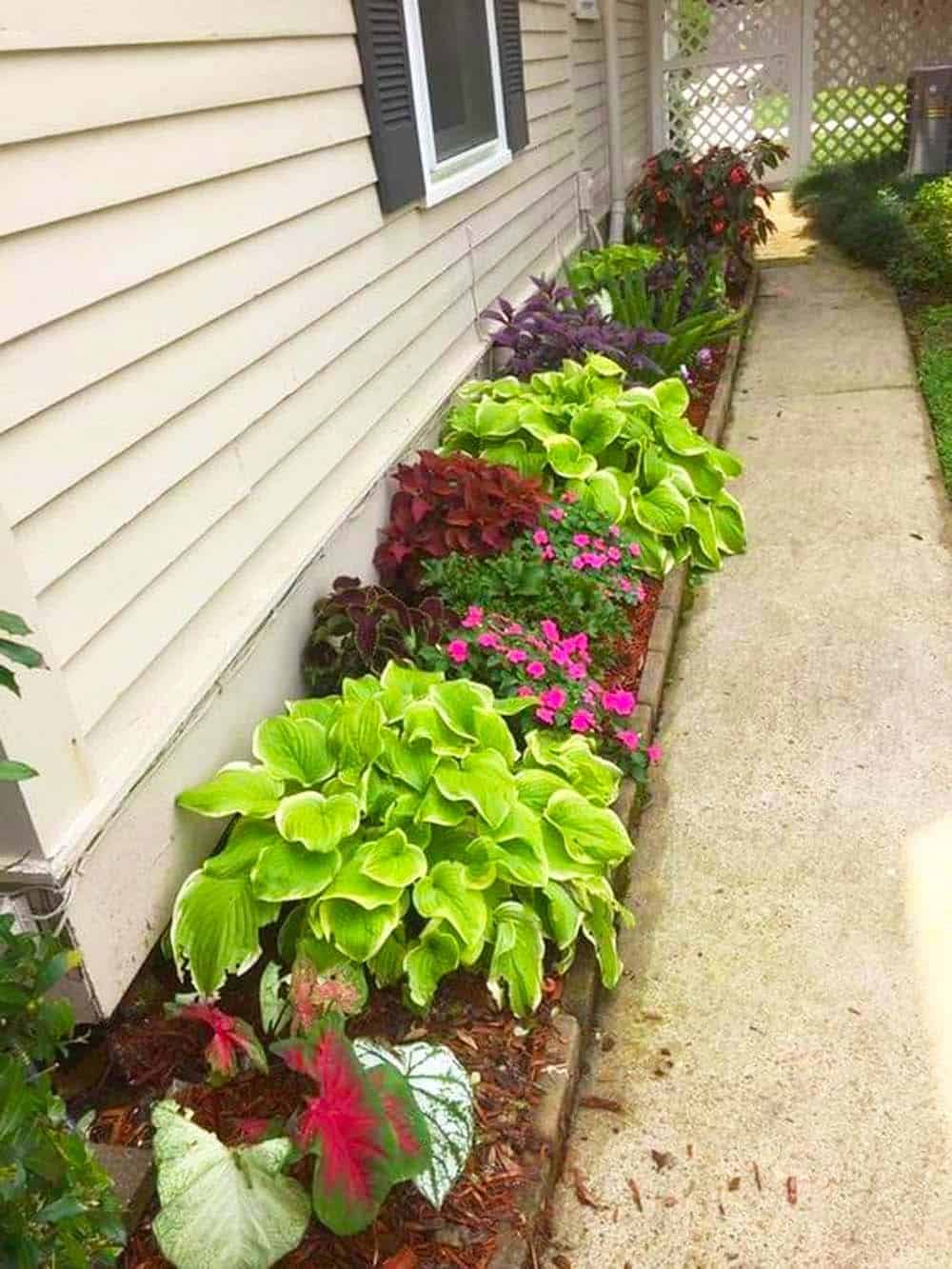 Lush Sidewalk Garden