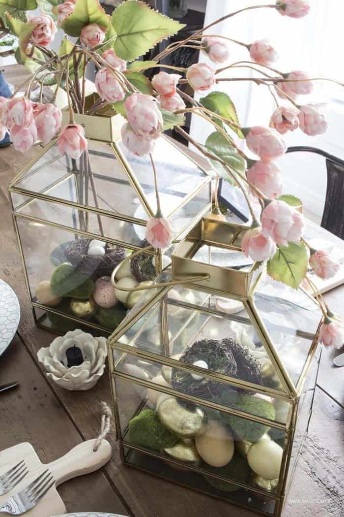 Golden Lantern Spring Terrariums