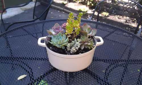 Upcycle an Old Dutch Oven into a Living Table Centerpiece