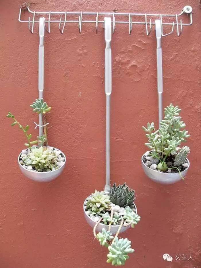 Create Succulent Arrangements with Ladles