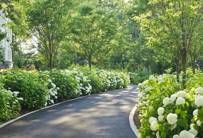 Thin Beige Brick-Lined Asphalt Drive