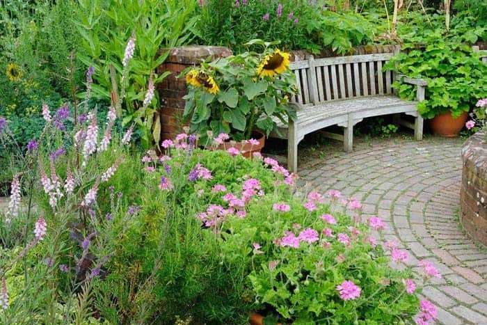 Potted Sunflowers Brighten A Dense Garden