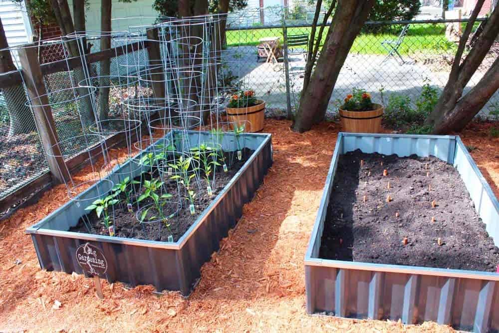 Raised Bed Vegetable Garden