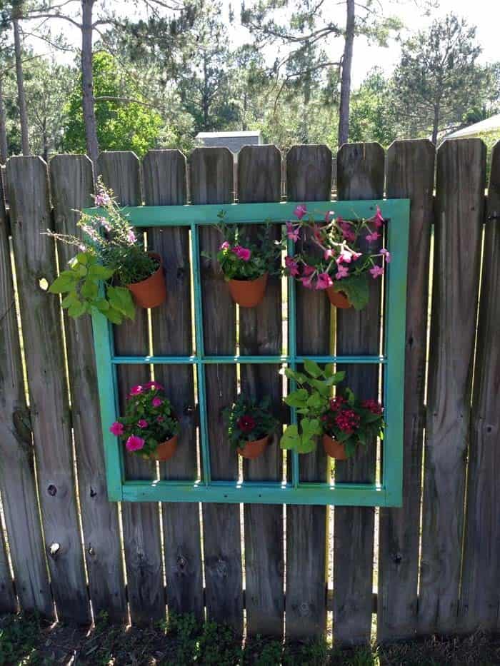 Upgrade Your Tiny Potted Plants with a Window Frame Display