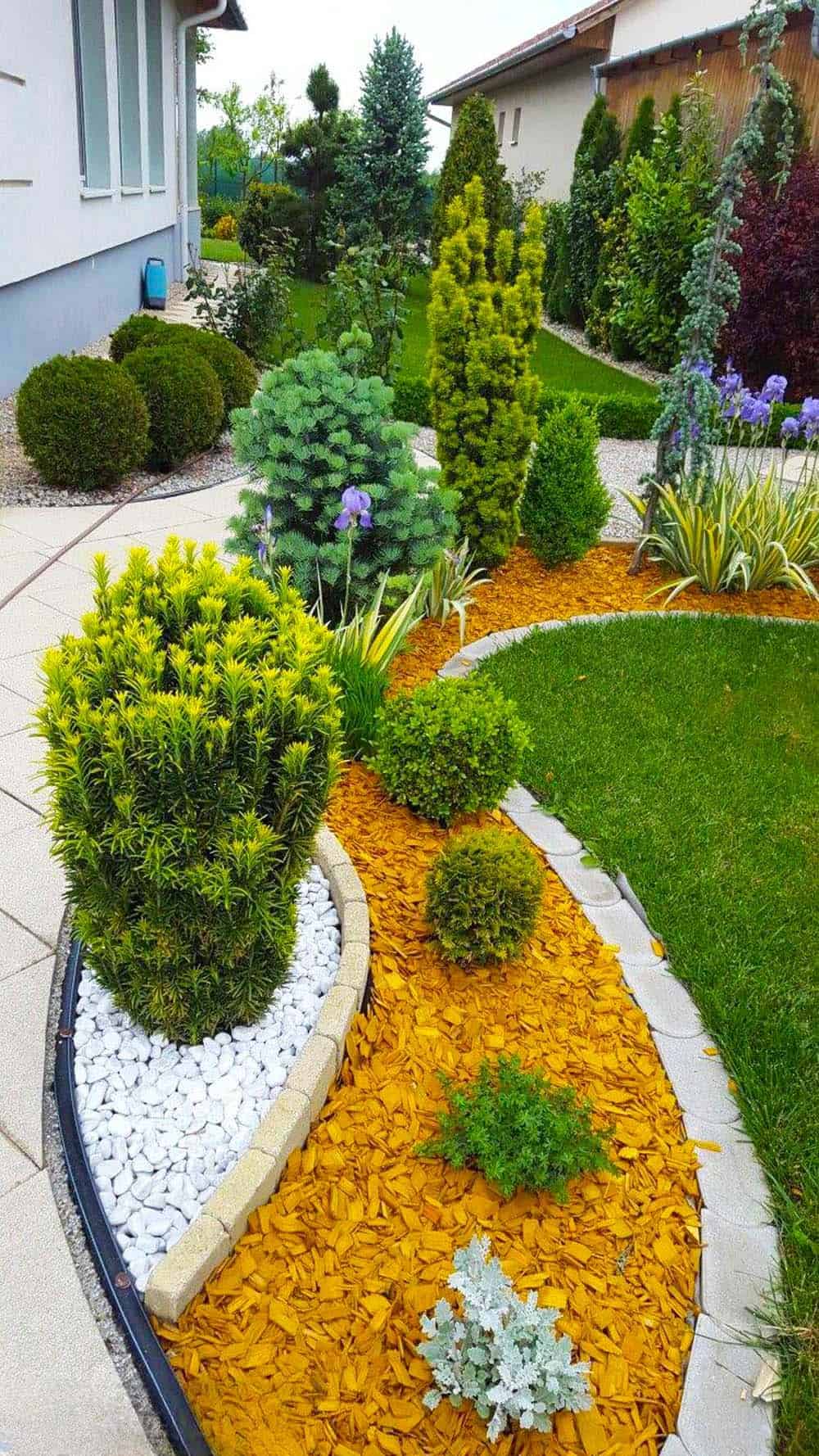 Vibrant Garden Pathway