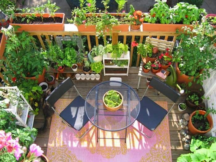 Turn Your Balcony Into a Lush Garden Oasis