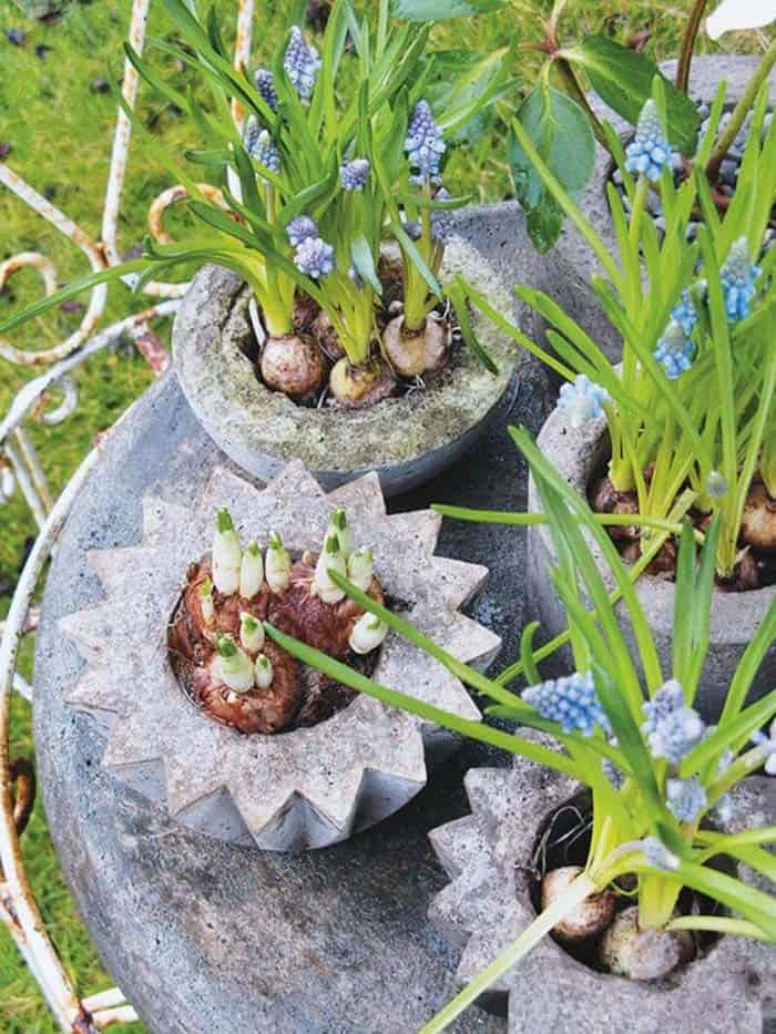 Make Easy Cement Planter Project