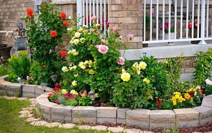 Blended Colors In A Raised Bed