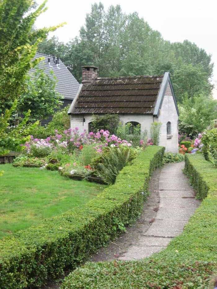 Boxwood Border