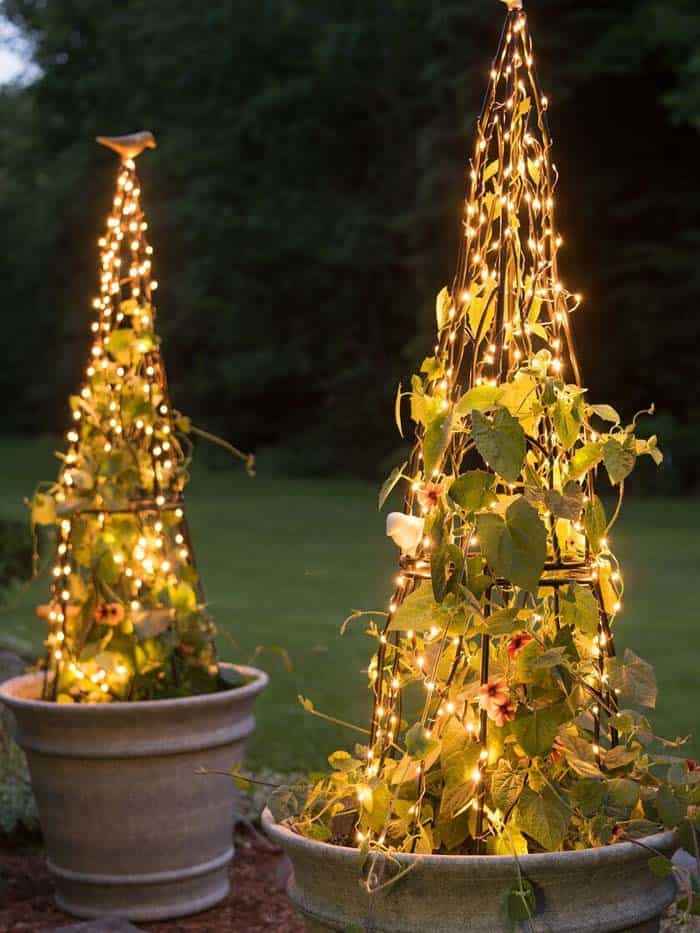 Decorated Fairy Light Garden Trellises