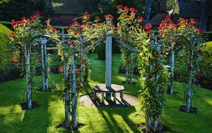 Climbing Trellis Rose Arches