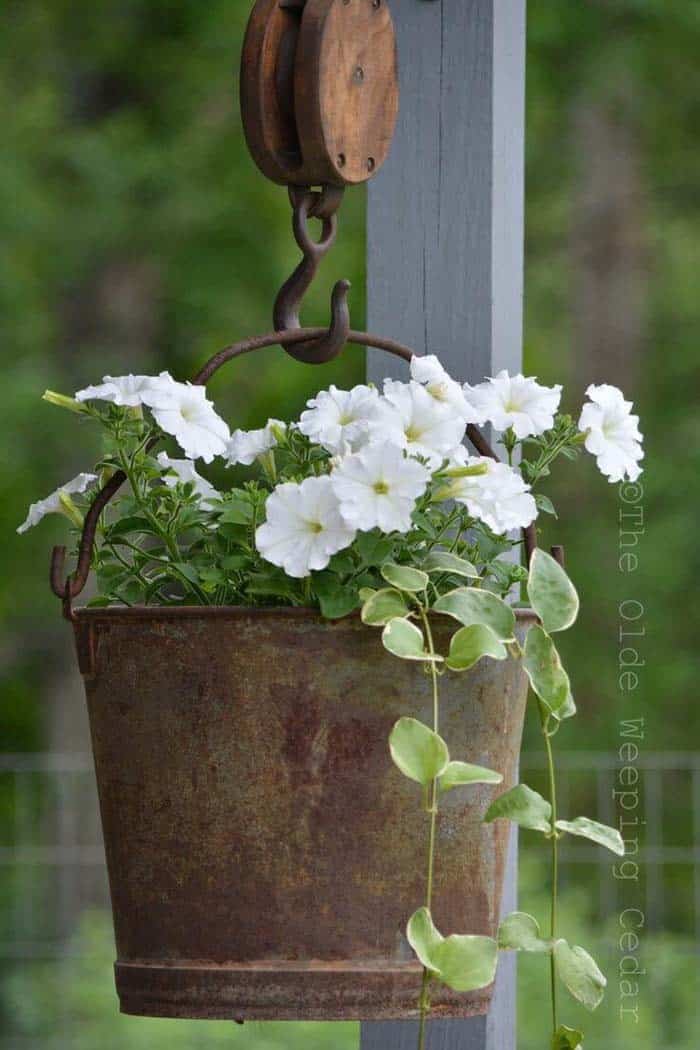 Add Vintage Charm to Gardens with Rustic Containers