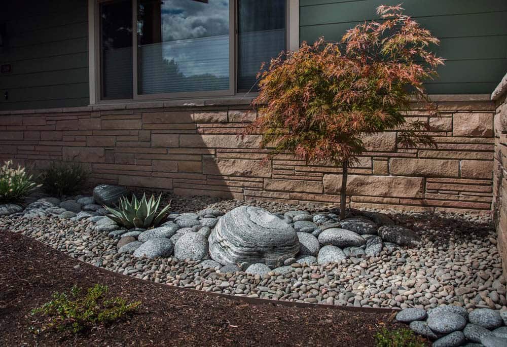 Dapper Xeriscaping