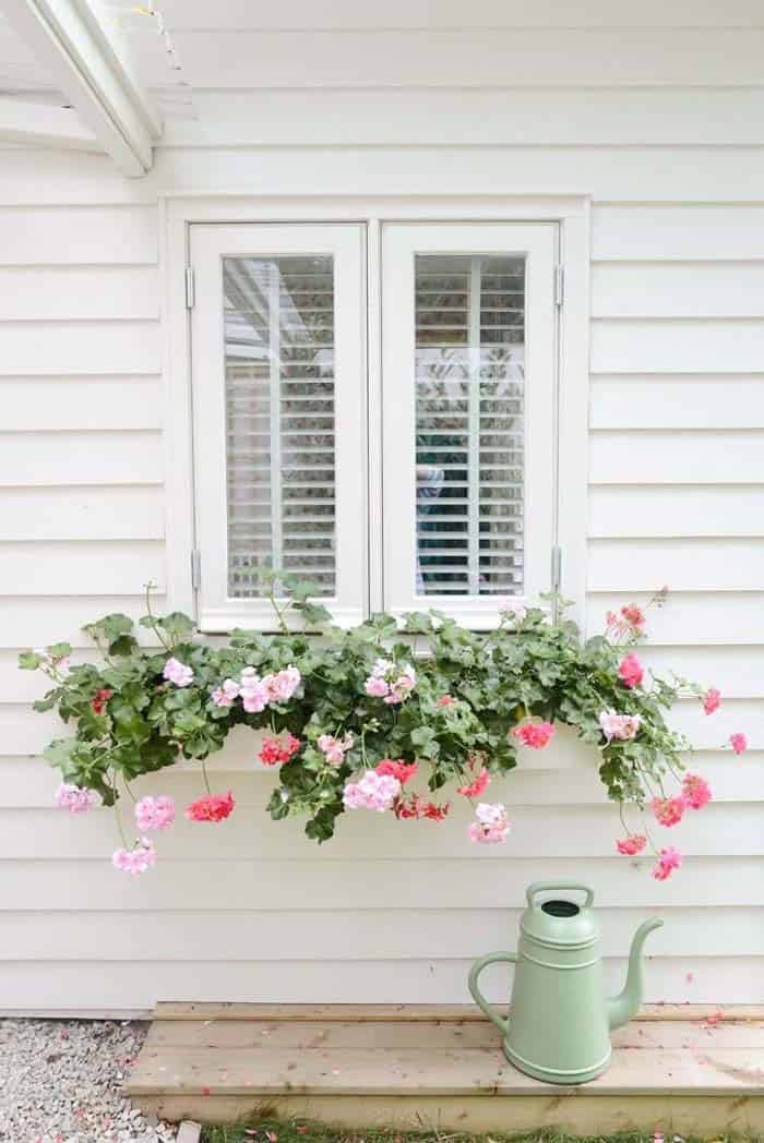 White Exterior and Floral Adornment for Chic Window Display