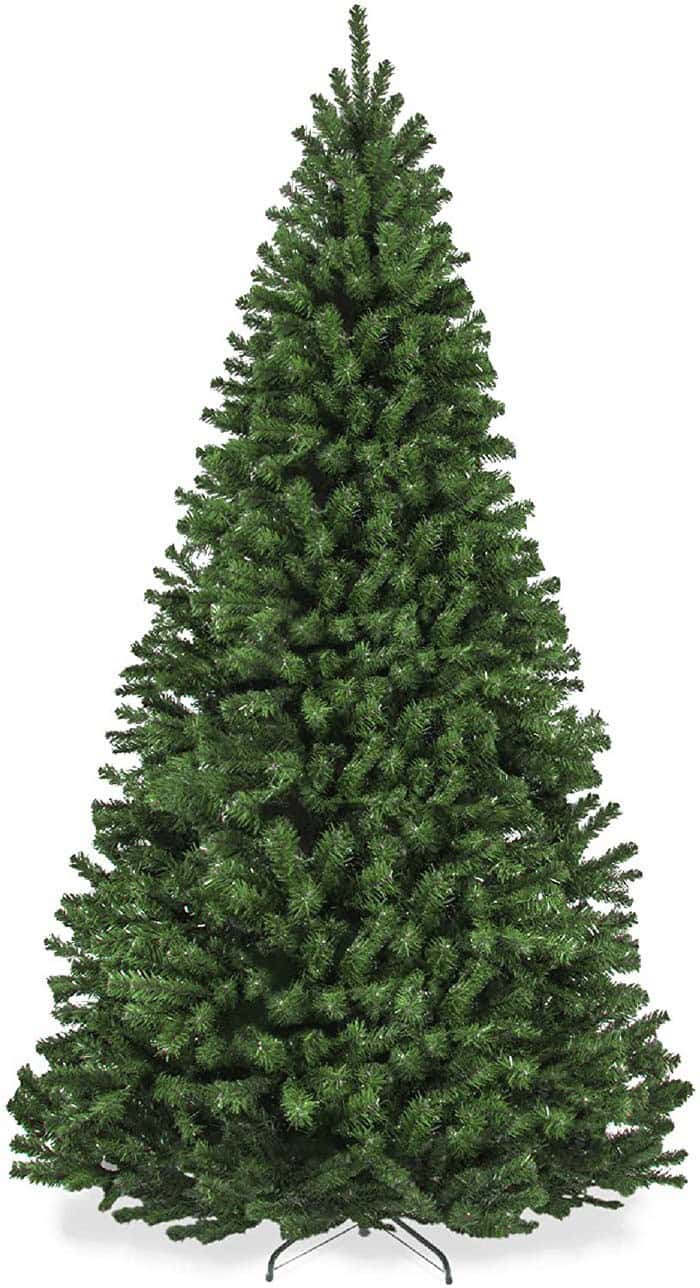 Traditional Tall Unlit Spruce