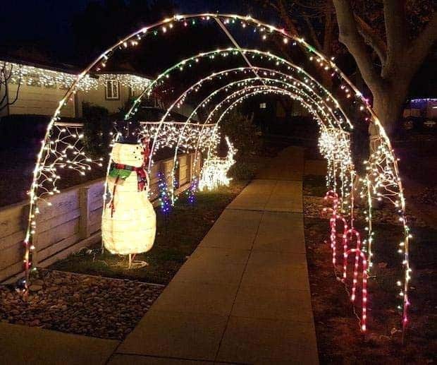 Make a Stunning Christmas Tree Tunnel for Your Driveway