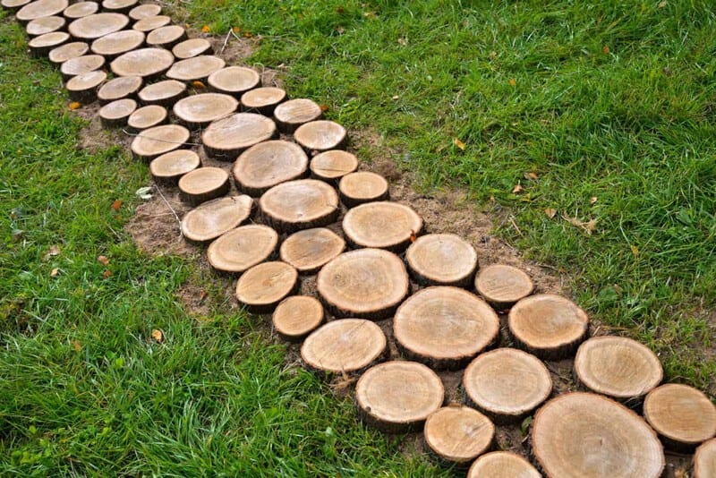 Logs Walkway