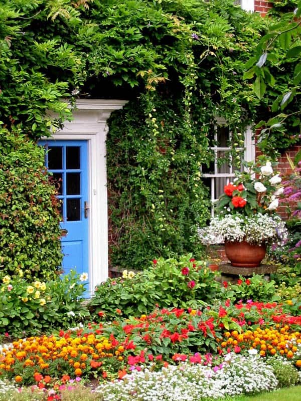 Add a Pop of Color to Your Cottage Garden Layout