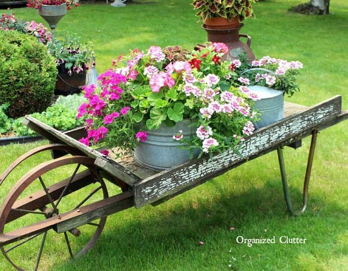 Decorate Your Garden with Wheelbarrows and Pots