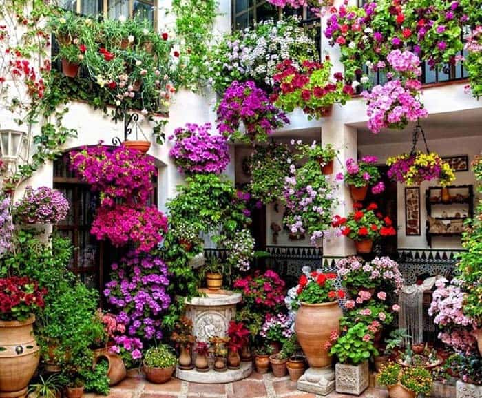 Gorgeous Lush Hanging Flower Garden