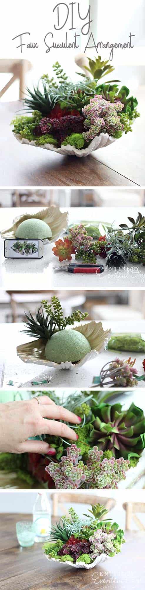 Make a Succulent Garden in a Seashell for Home Decor