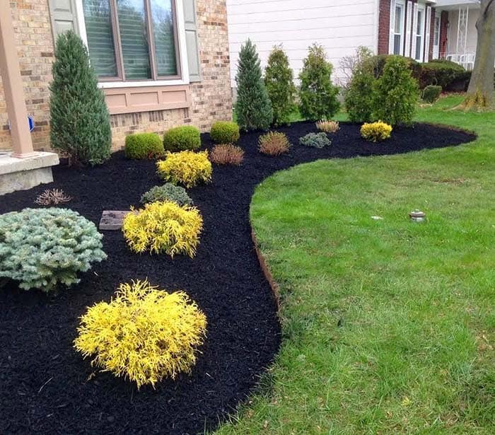 Make Your Trees and Shrubs Stand Out with Black Mulch