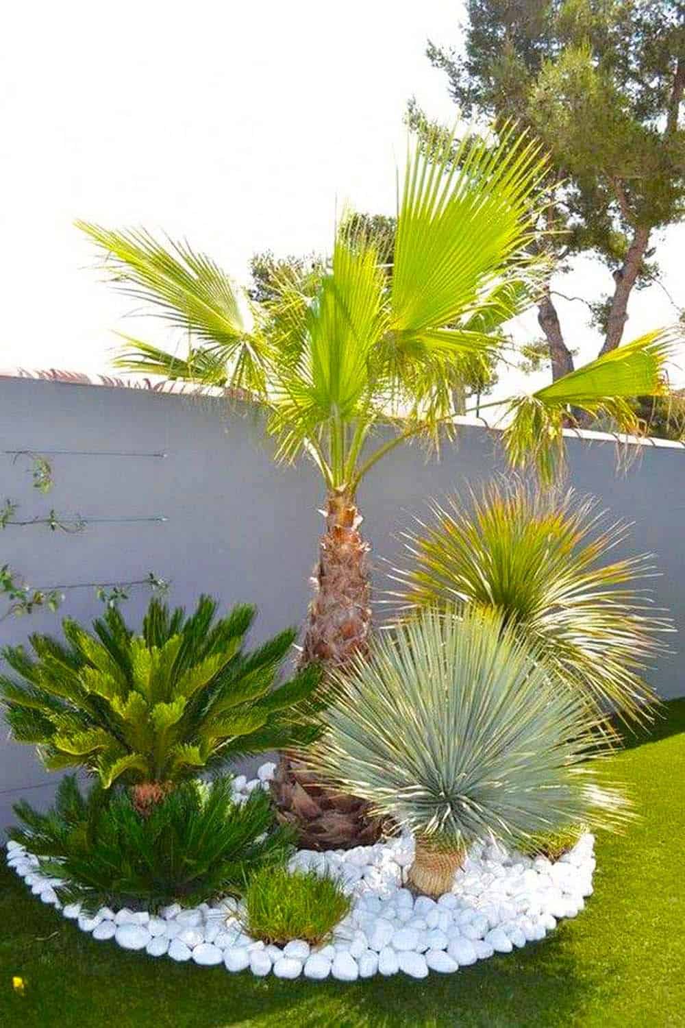 Palm Oasis