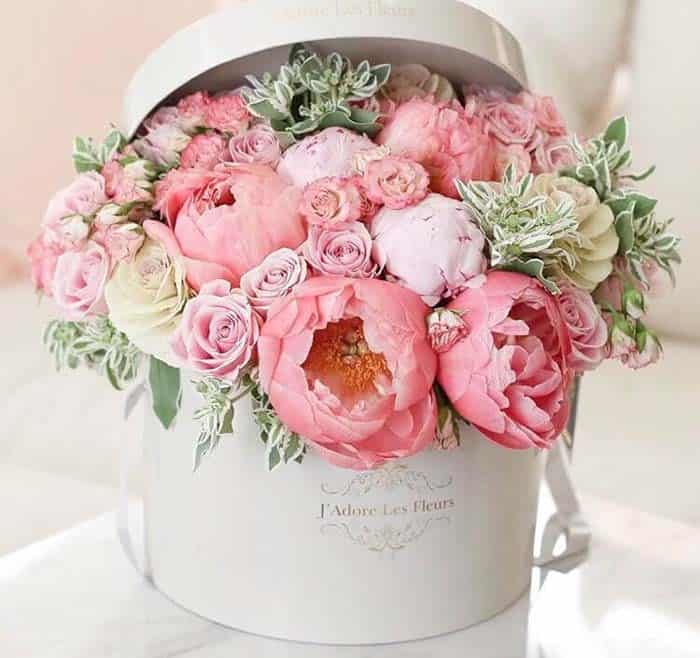 Fill a Hat Box With Pale Florals