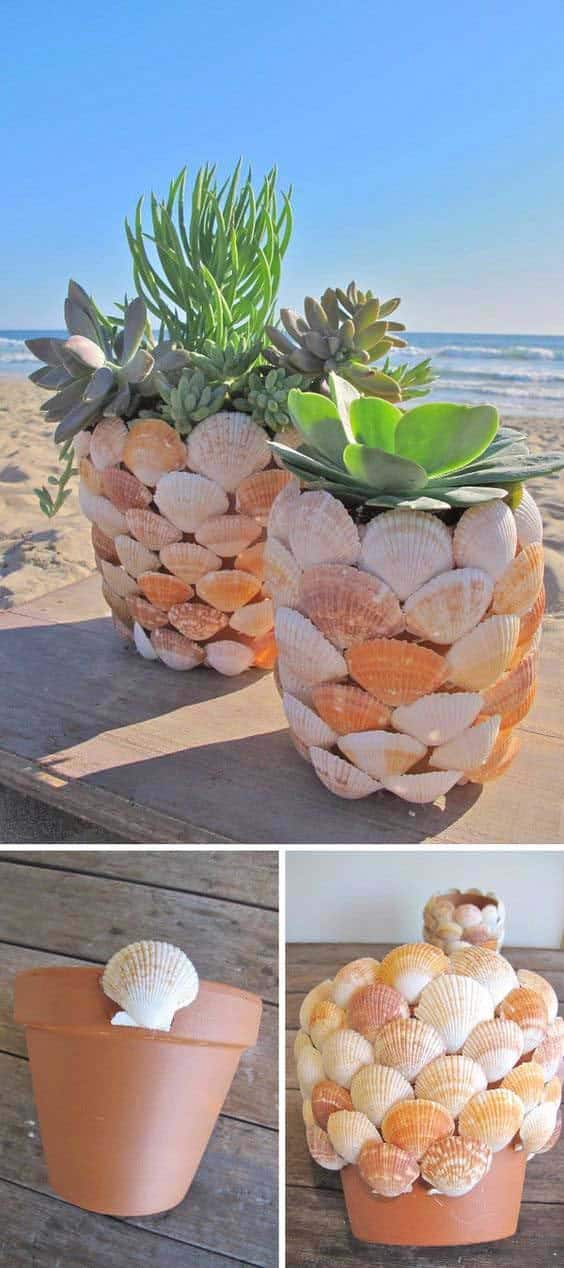 Decorate Flower Pots with Seashells for a Coastal Touch