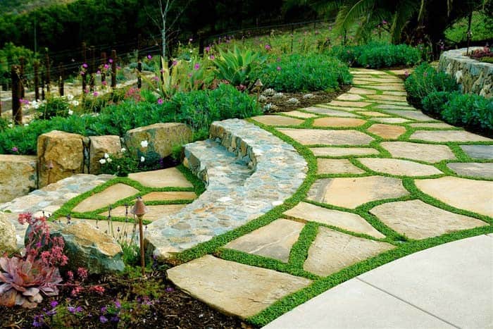 Incorporate Plants in Retaining Walls and Paving Stones