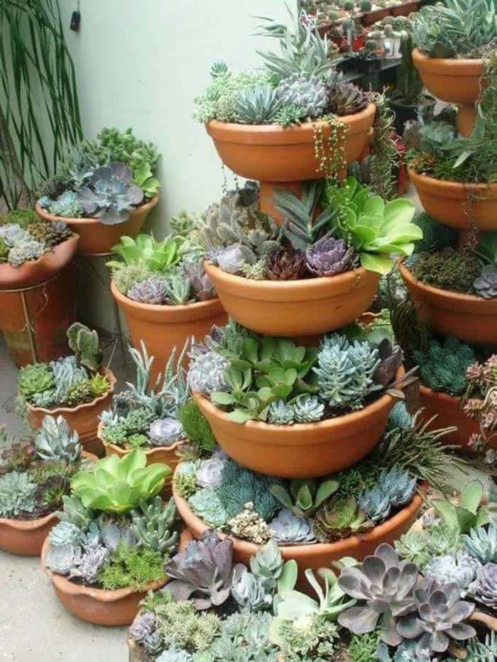 Stacked Terracotta Succulent Garden