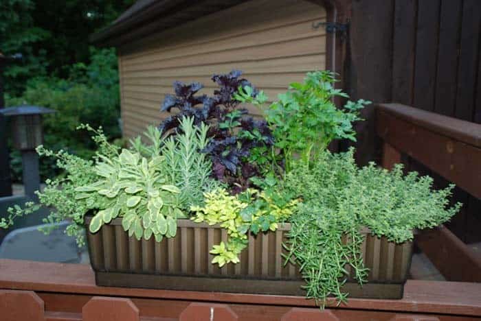 Decorate Your Railings With Herbs