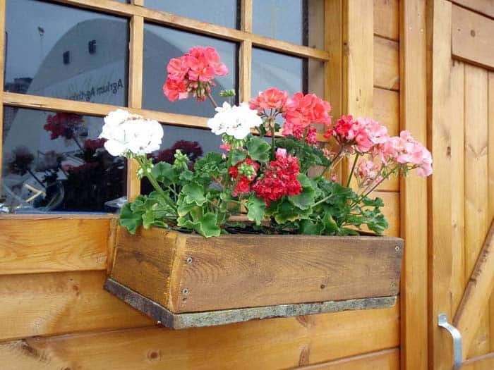 Durable Wood Window Box Planter DIY Project