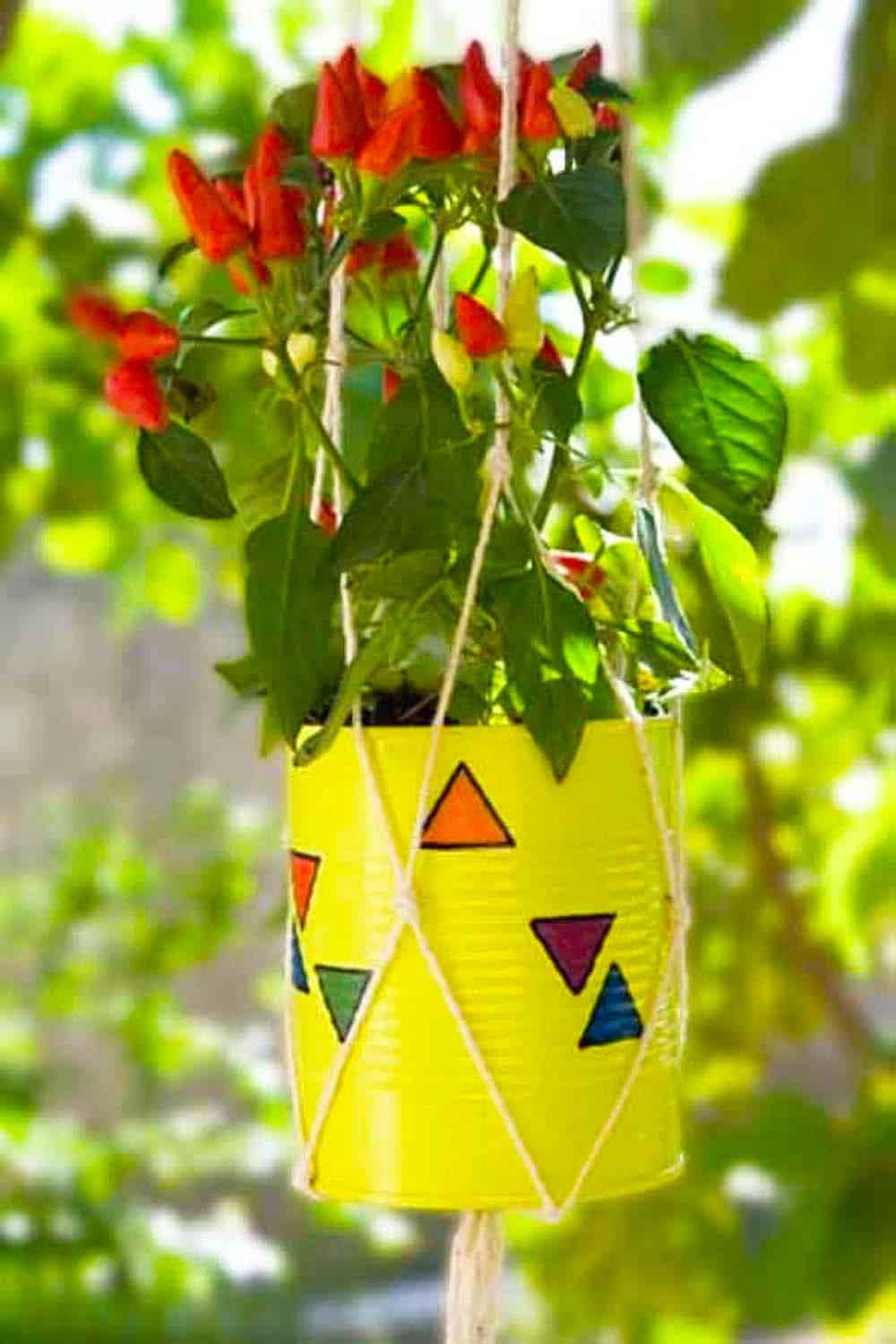 Vivid Hanging Planter