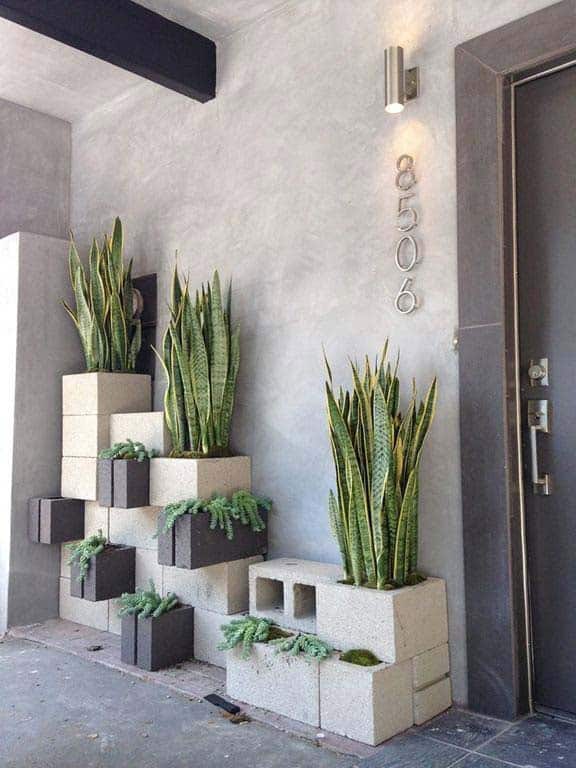 Cinder Blocks with Mother-in-Law Tongue Snake Plants